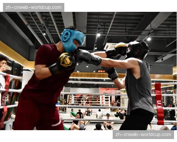 Everlast与UFC终结合作,将全力投入职业拳击装备市场 Everlast与UFC终结合作,将全力投入职业拳击装备市场